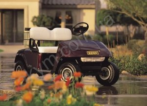 Больше FreeDom