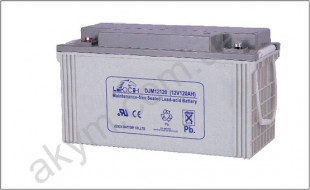 Тяговый Leoch DJM12120