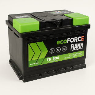 Аккумулятор FIAMM Ecoforce AFB 95Ah R+ — купить для авто, доставка
